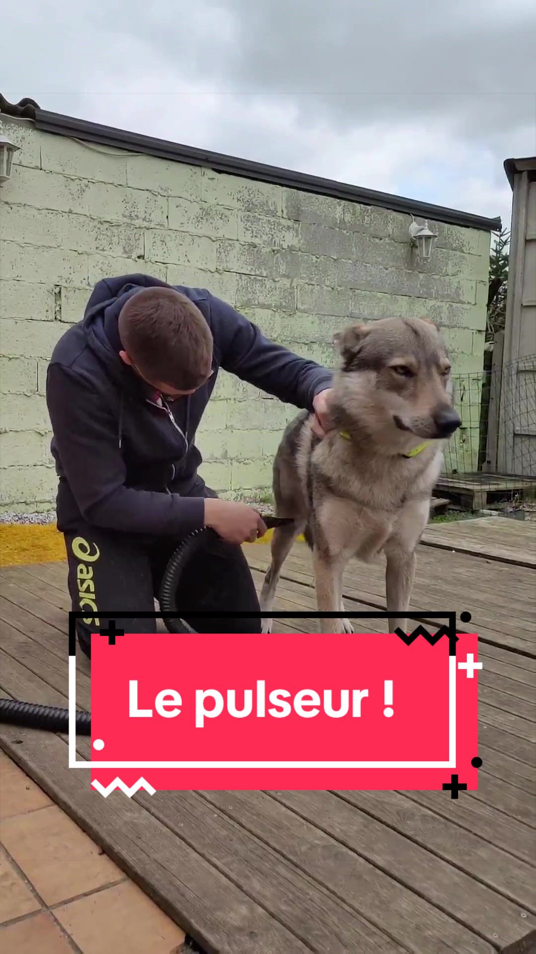 @La meute d’Otone 🐺