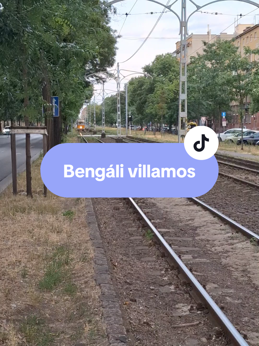 @PTF - Public Transport Fan
