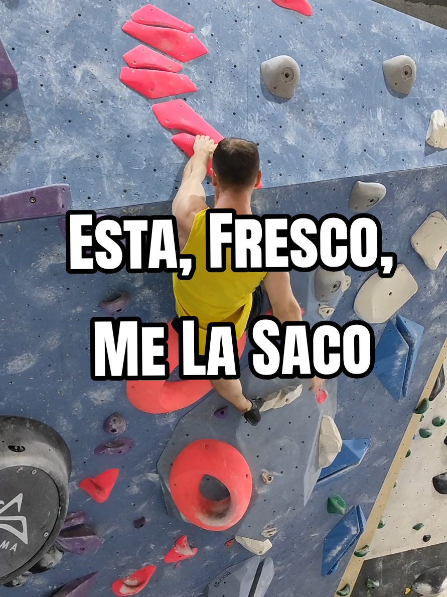 @David LP