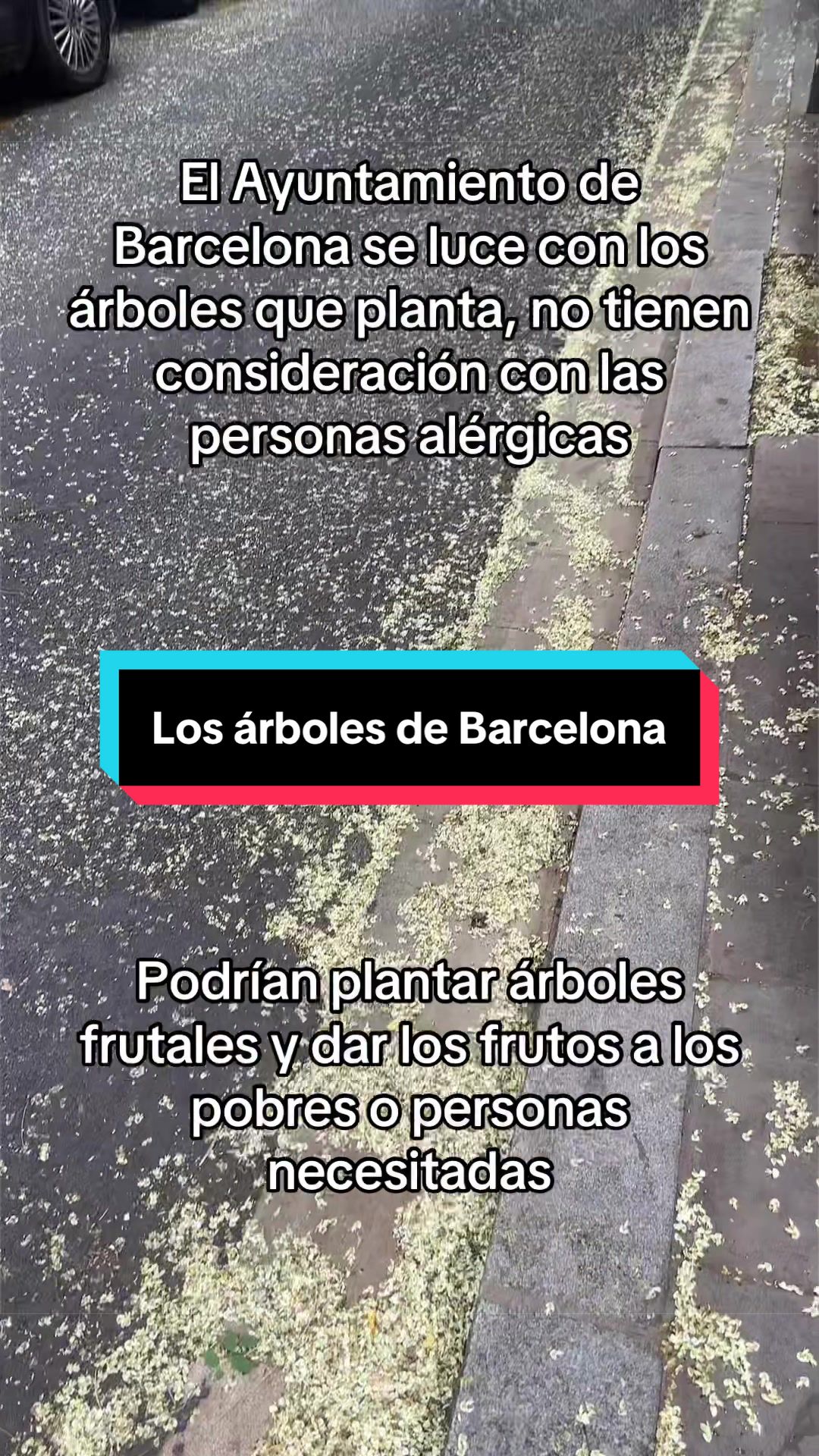 @Rafa Vilalta Rueda