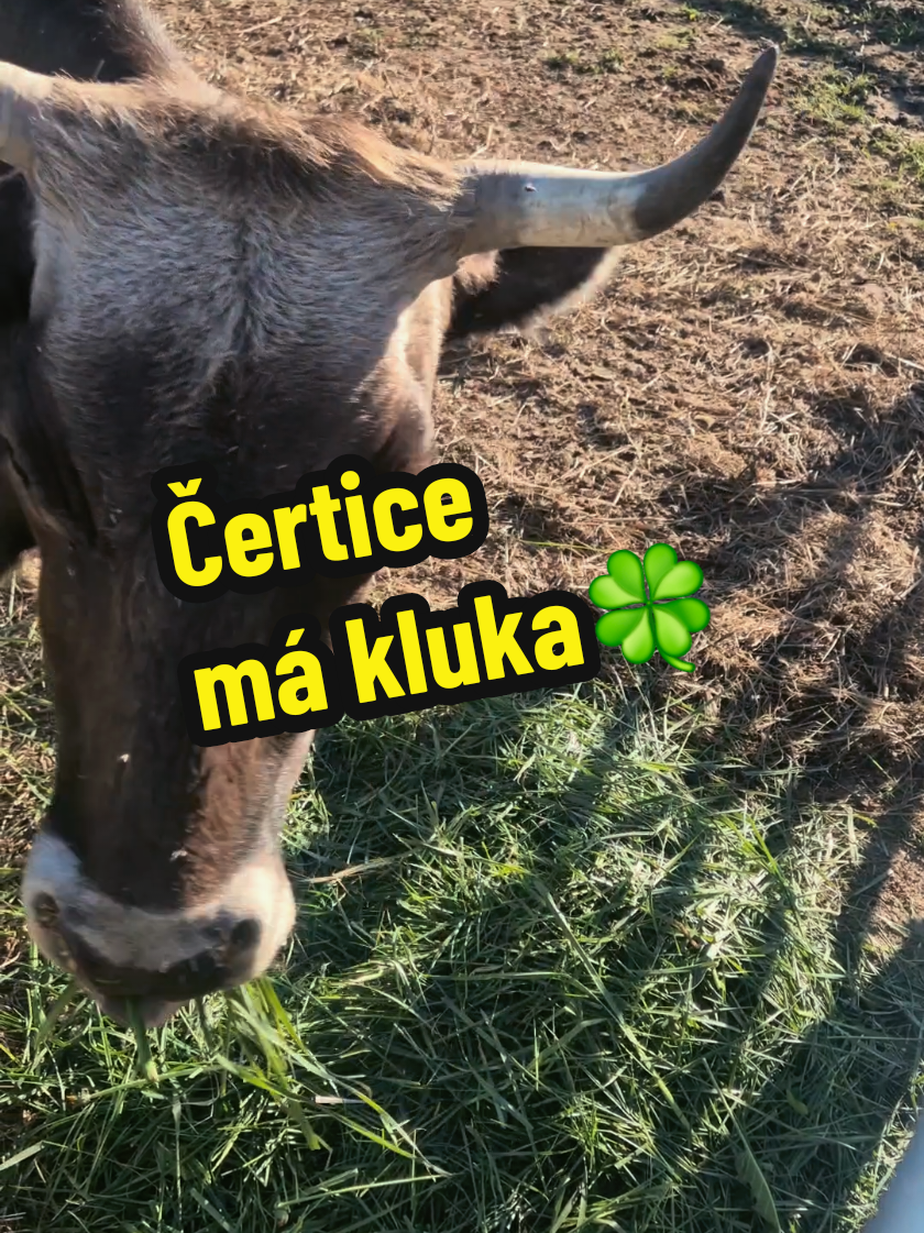 @Ekofarma Holčovice