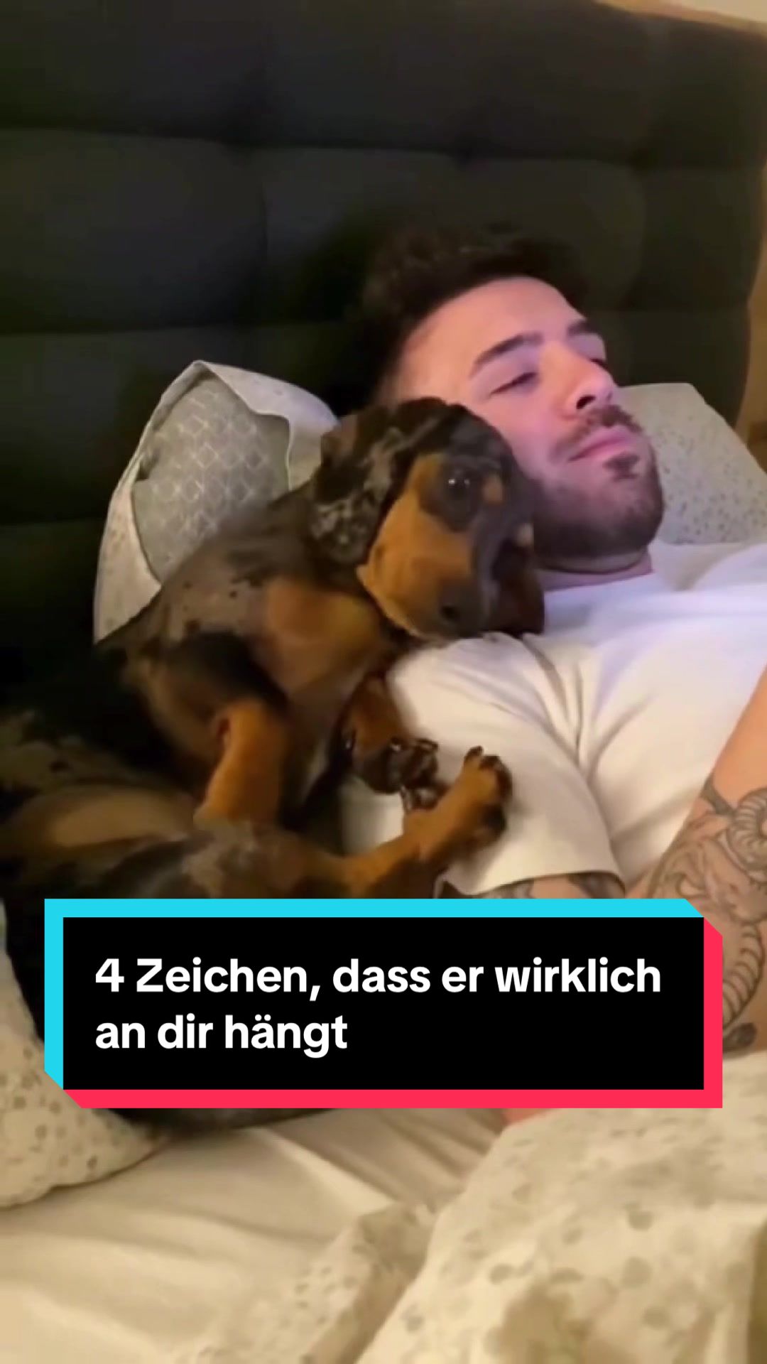 @Tiere kennen🐾