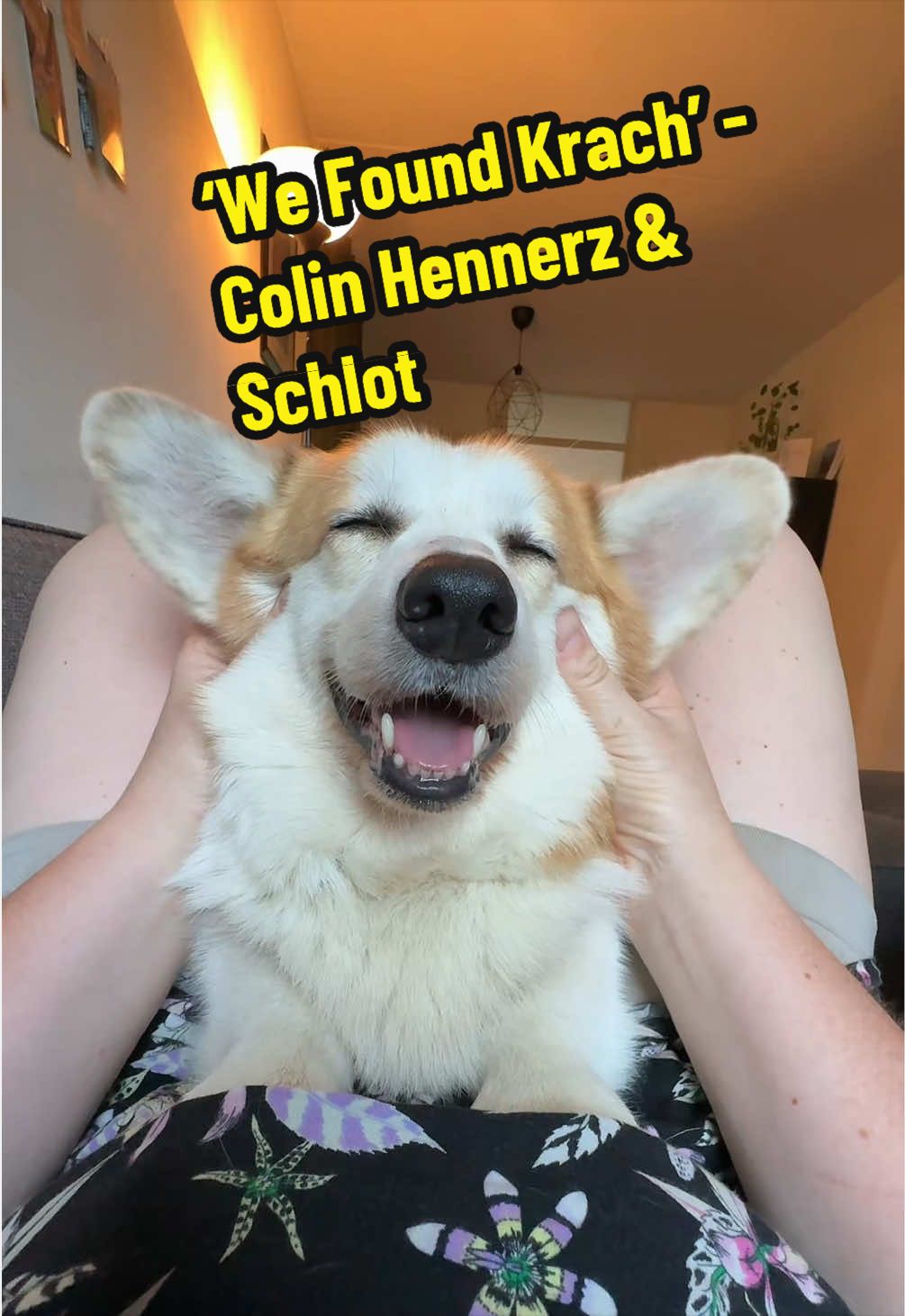 @Kickroll Corgi Charlie ๐ถ๐