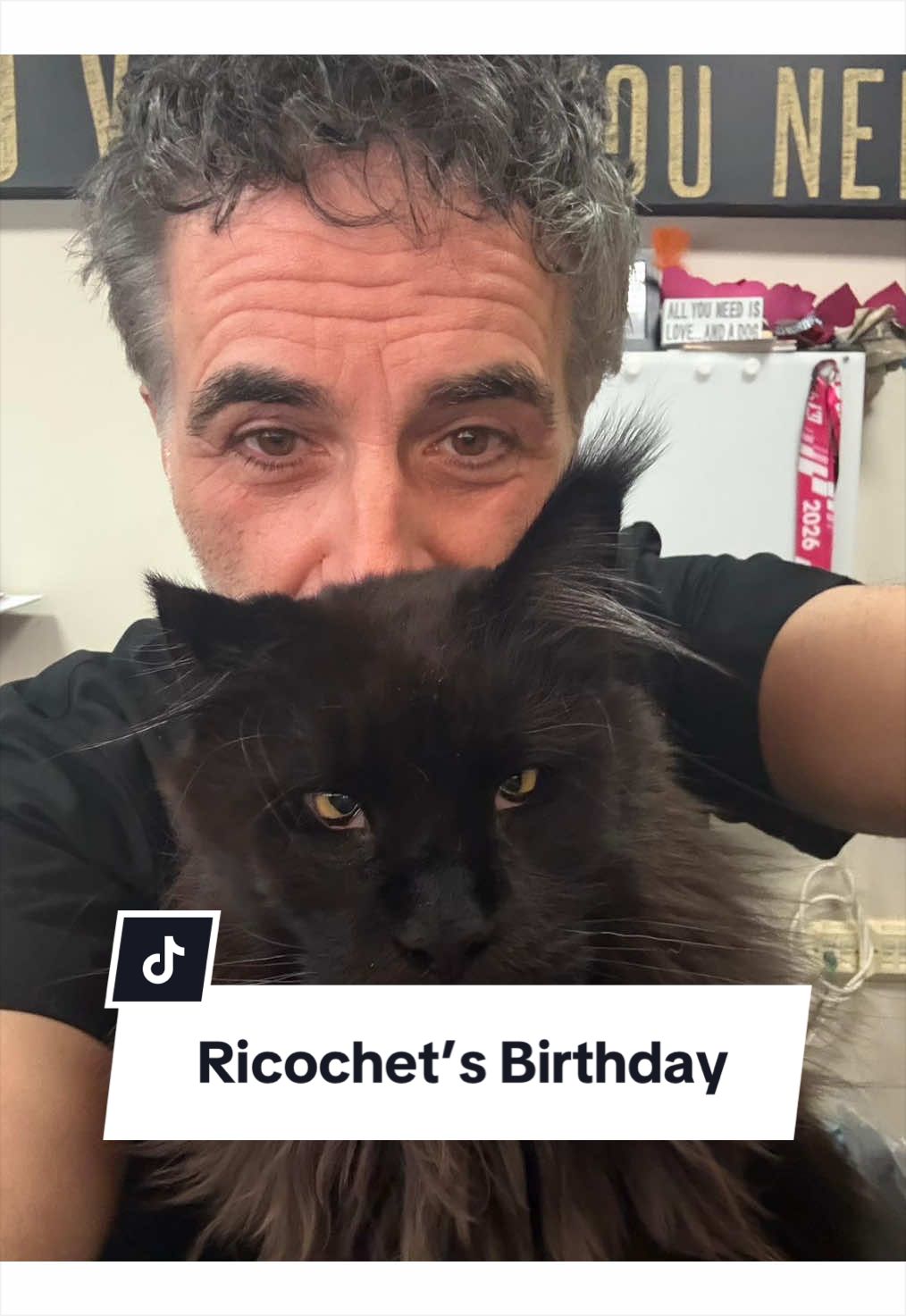 @profnoelfitzpatrick