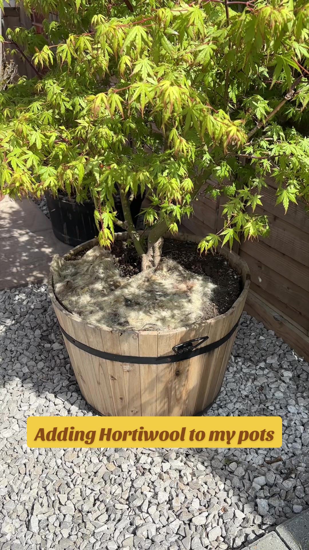 @Georgie | Gardening