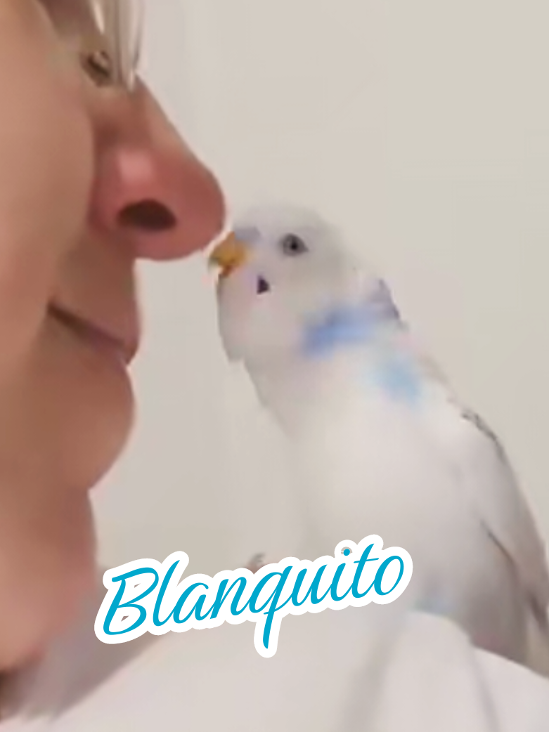 @Katy,Kyra,Jhonny,Lima,Chiqui