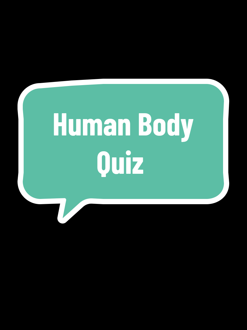 @QUIZ TOK