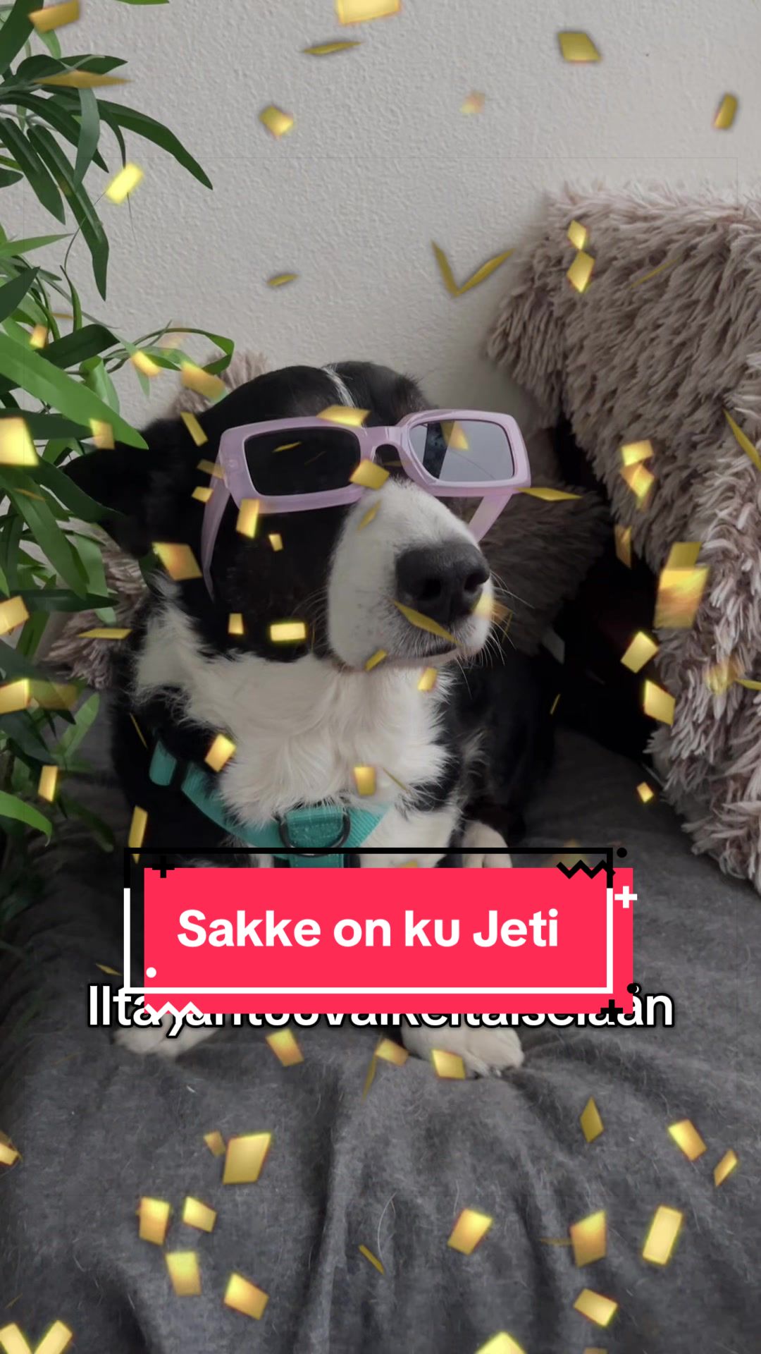 @jattahenriikka