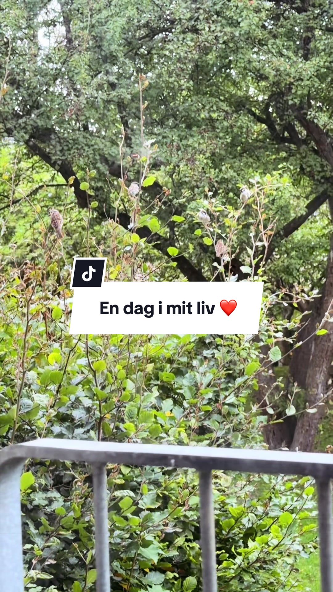 @Hirijet29&hearts;️