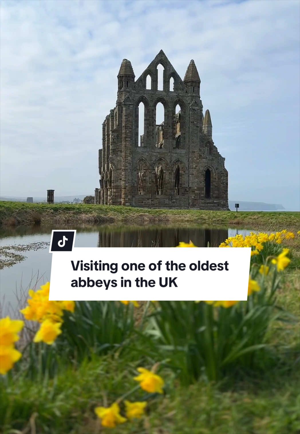@The Yorkshireman