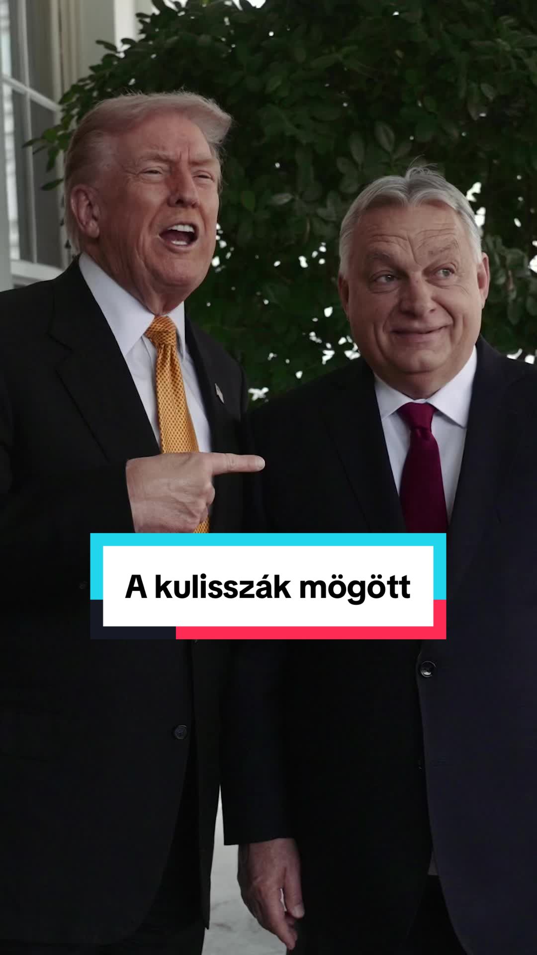 @Viktor a TikTokon