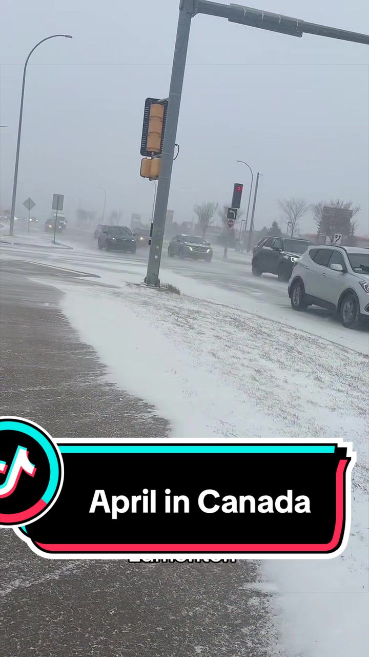 @🇨🇦INGACHKA🇺🇦
