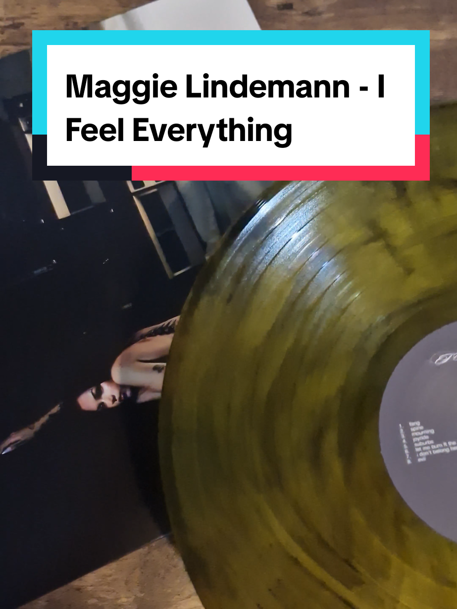 @VinylLL