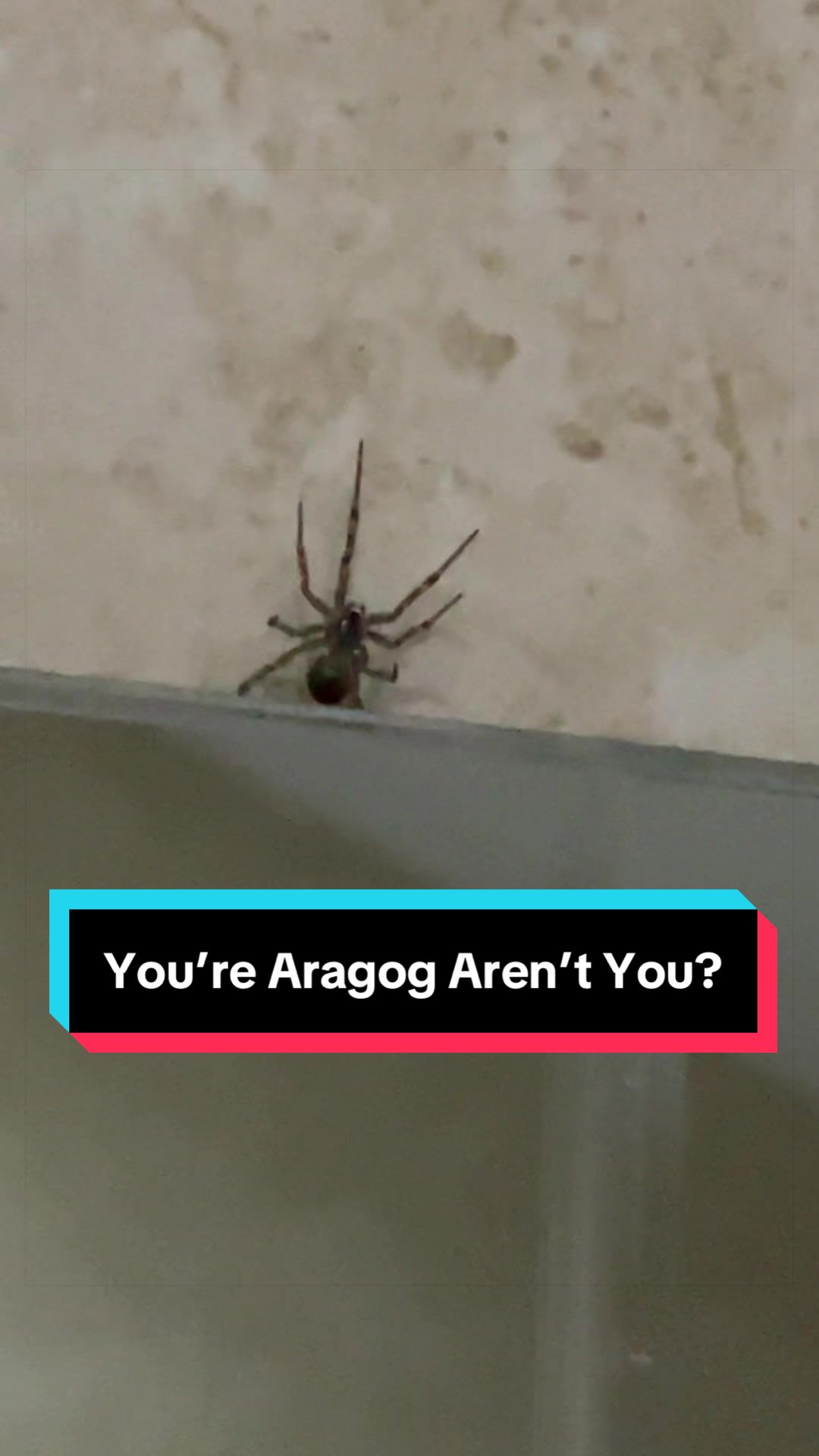 @Andrew
