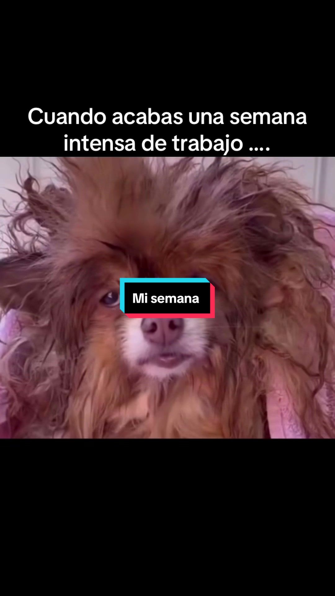 @Patricia Mathe