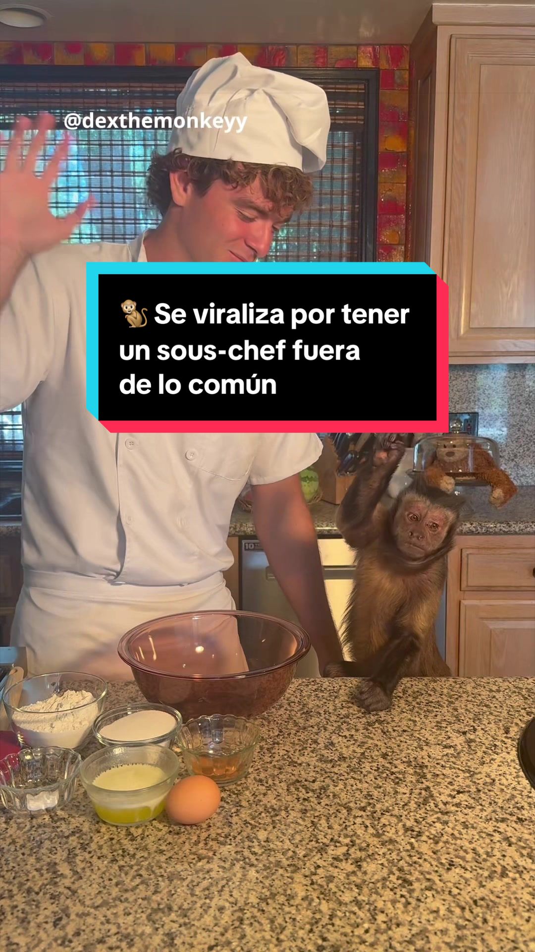 @EL ESPAÑOL 🦁