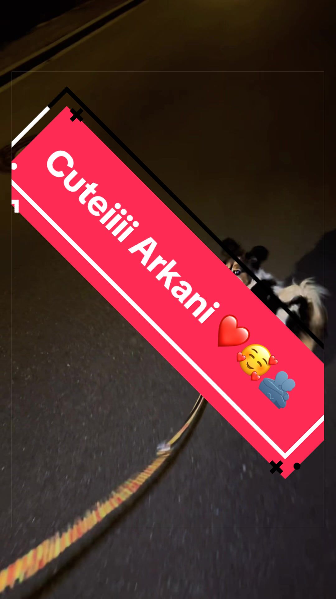 @🐺Haru_Der_Hotelzerleger🐺