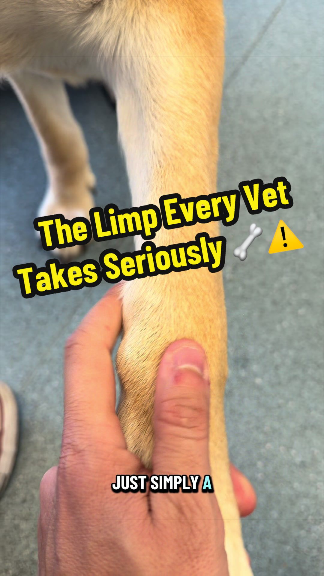 @Tomasthevet