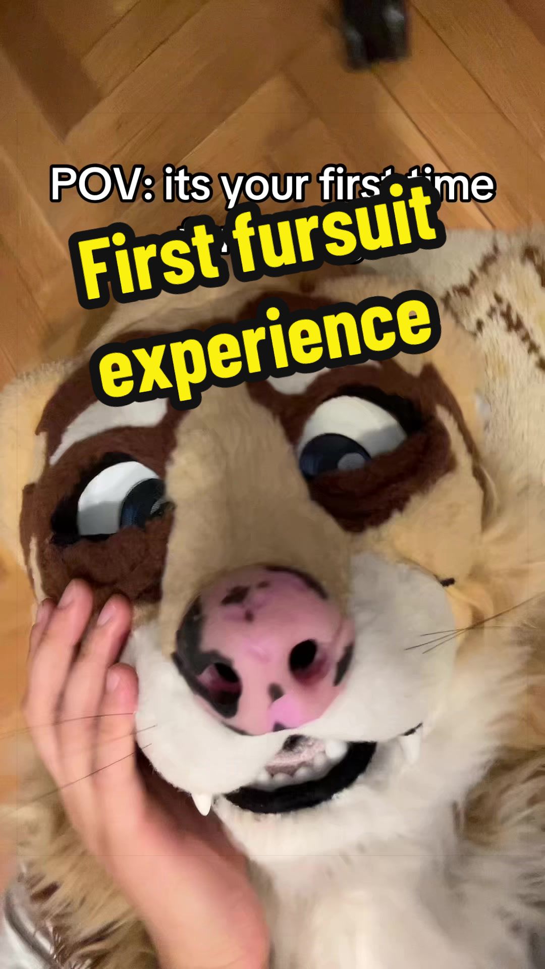 @untamed_mink_guy