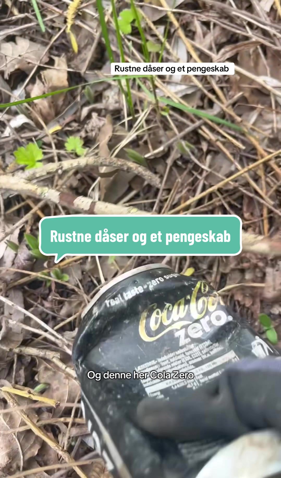 @Ninatagerskraldet