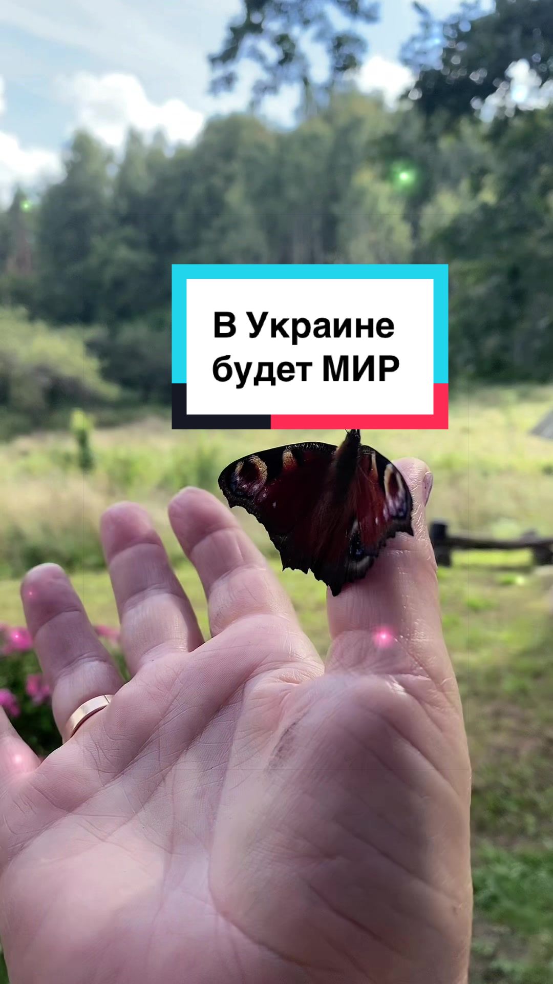 @Алёна_феникс