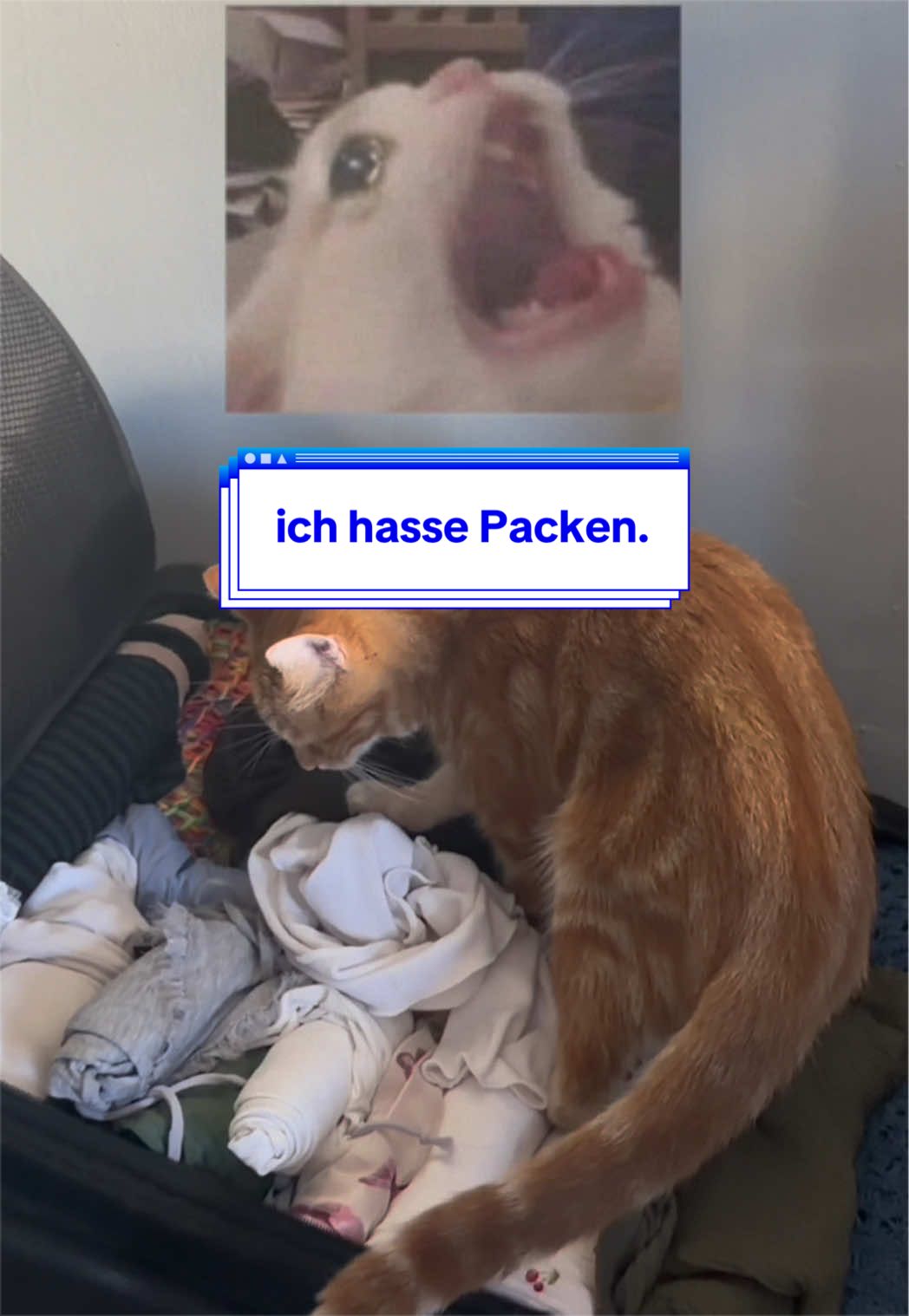 @Sophie 🦊