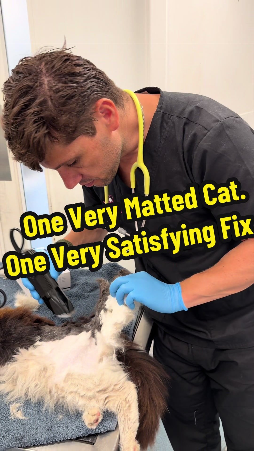 @Tomasthevet