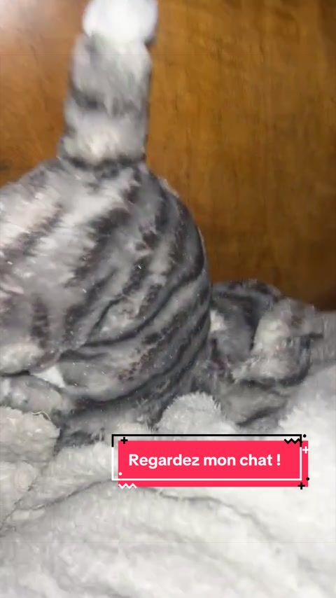 @lateam_sansfiltre63