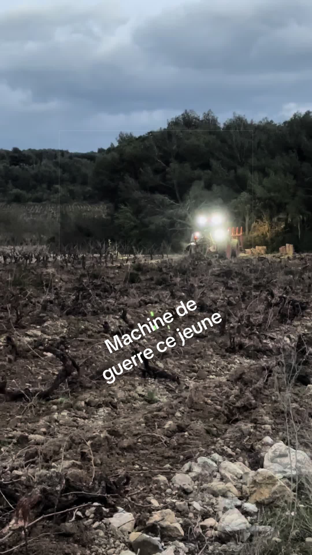 @Nico 🍇🍷🇫🇷