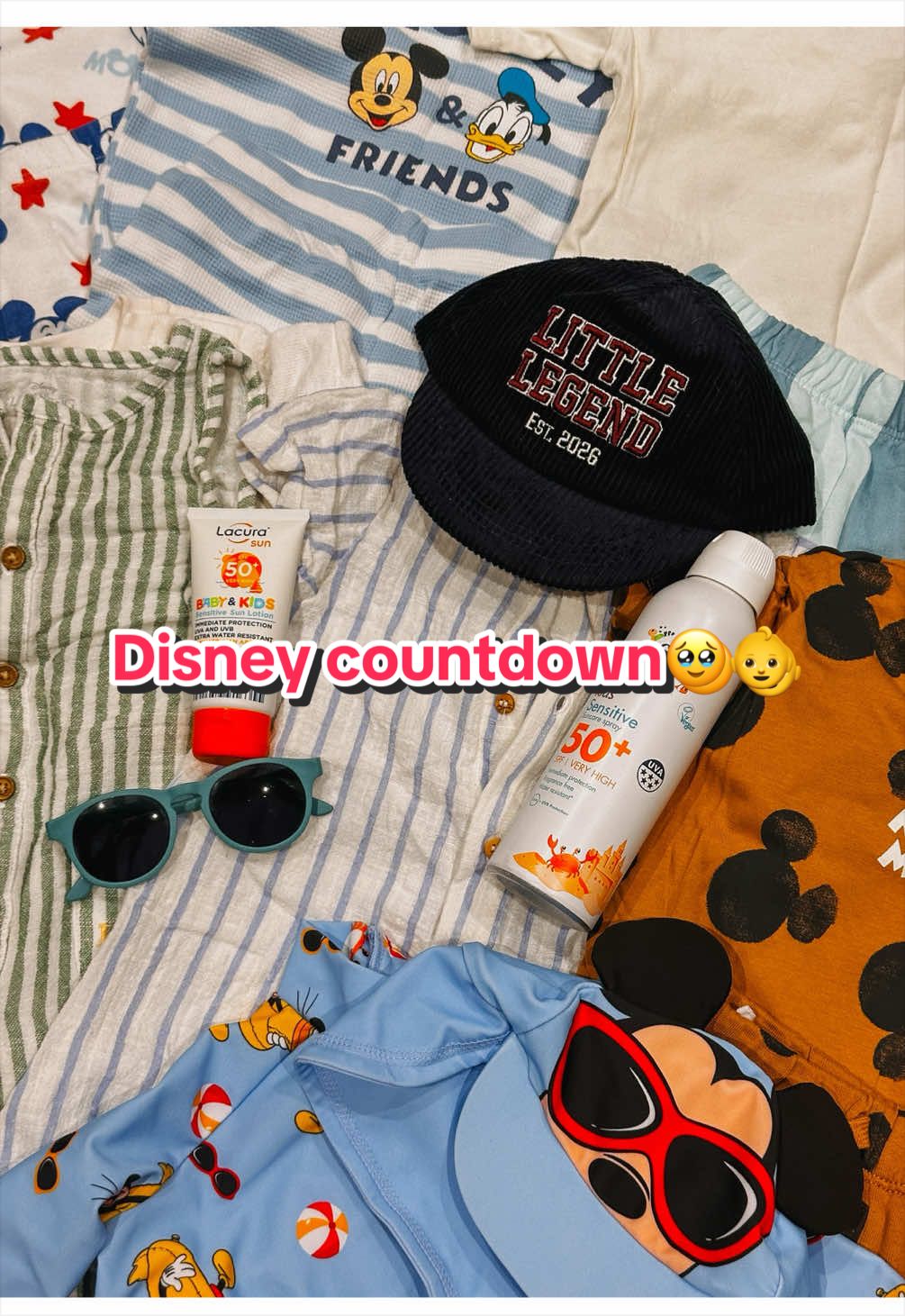 @Lisa | FTM & Disney adult✨