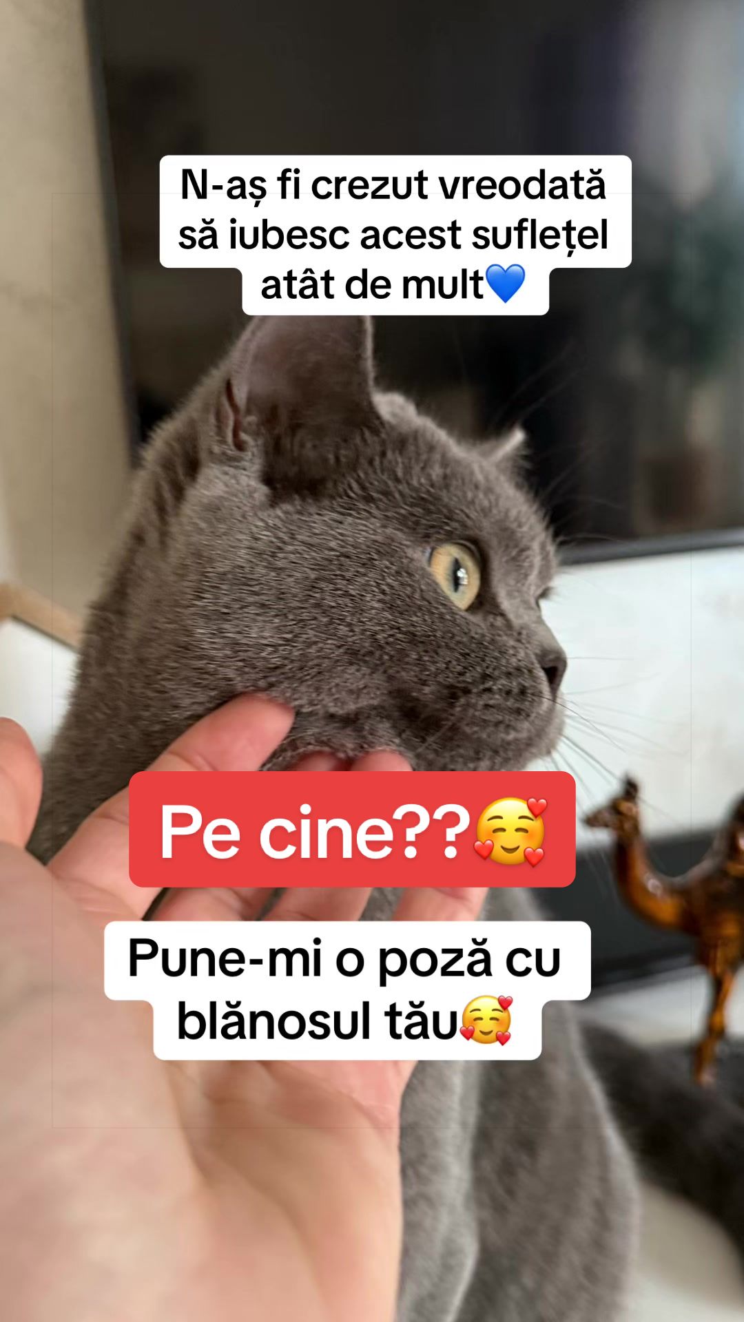 @Psalmii sufletului meu