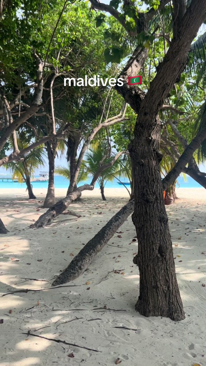 @charltravelss