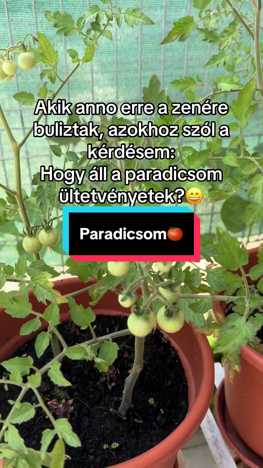 @Soó Tina - tanárnő