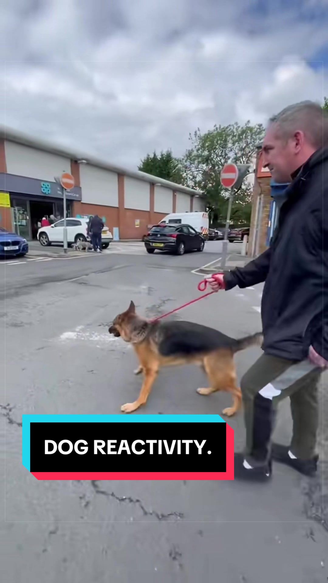 @LeeJonesOfficial Dog Training
