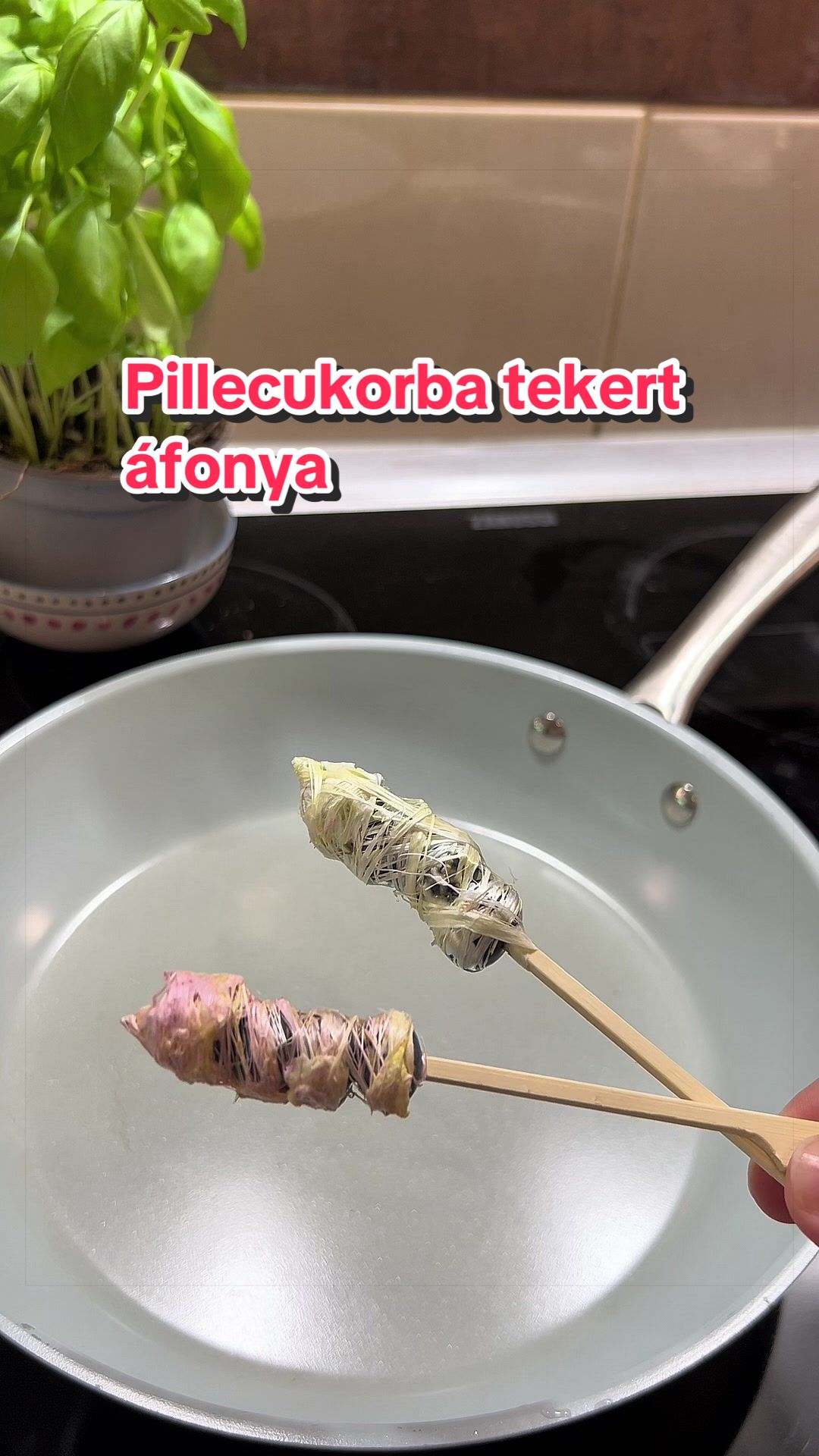 @N&eacute;methn&eacute; Pogr&aacute;nyi Zsuzsanna