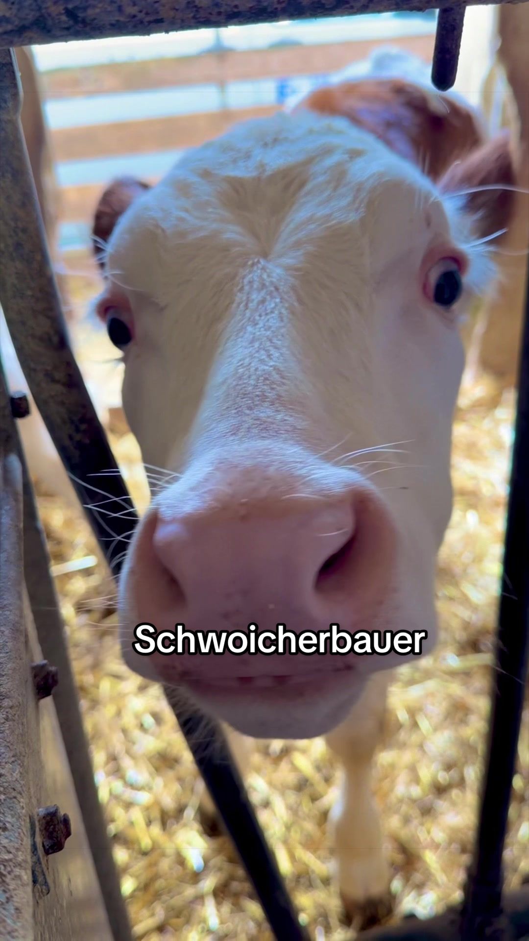 @julysilberberger