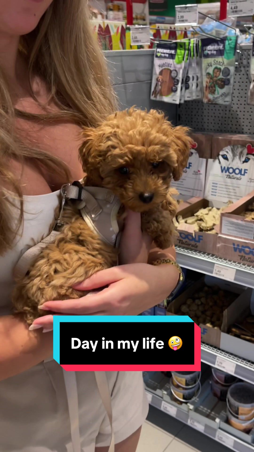 @mickythepoo