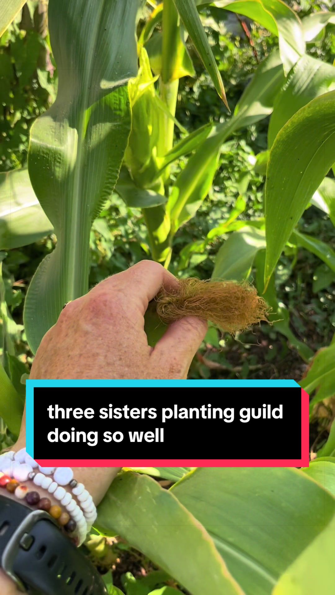 @Laura • YOUNG GROWERS CLUB