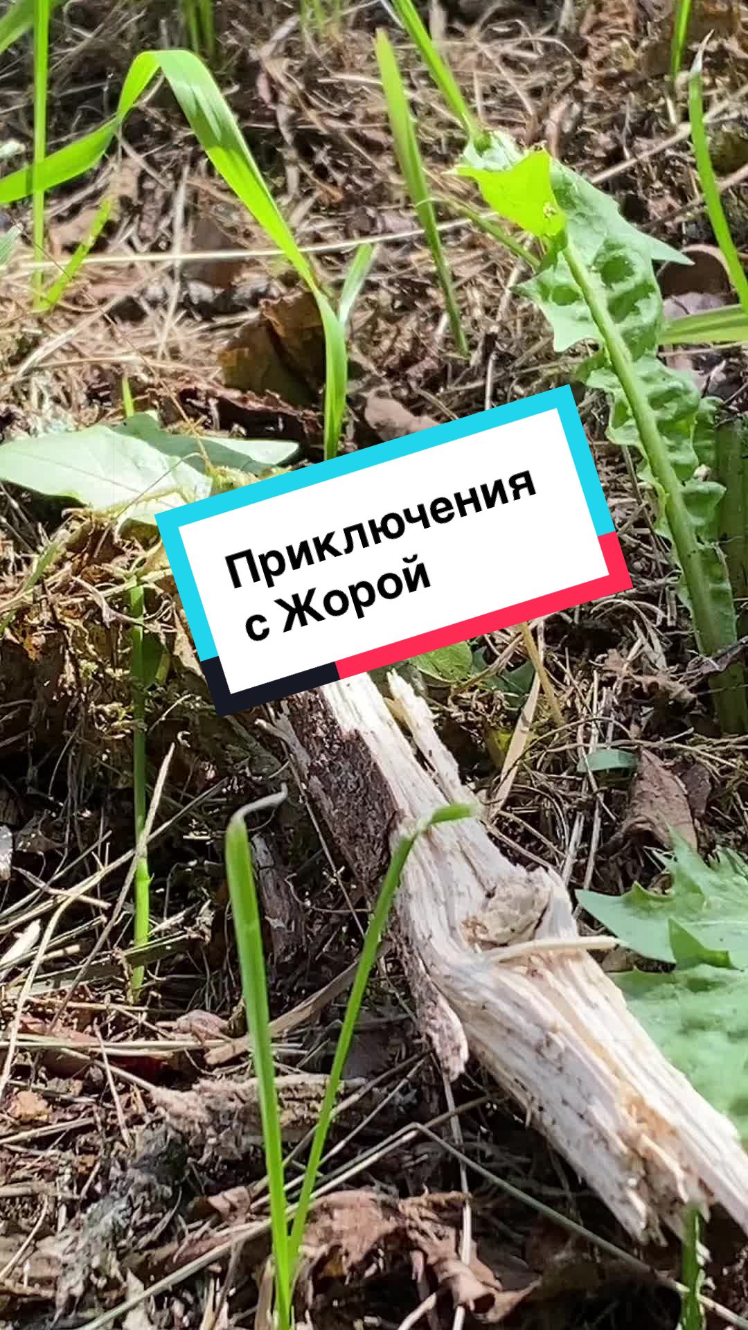 @Алёна_феникс