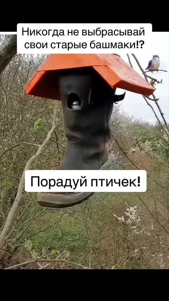 @Bobbygrant690🥳