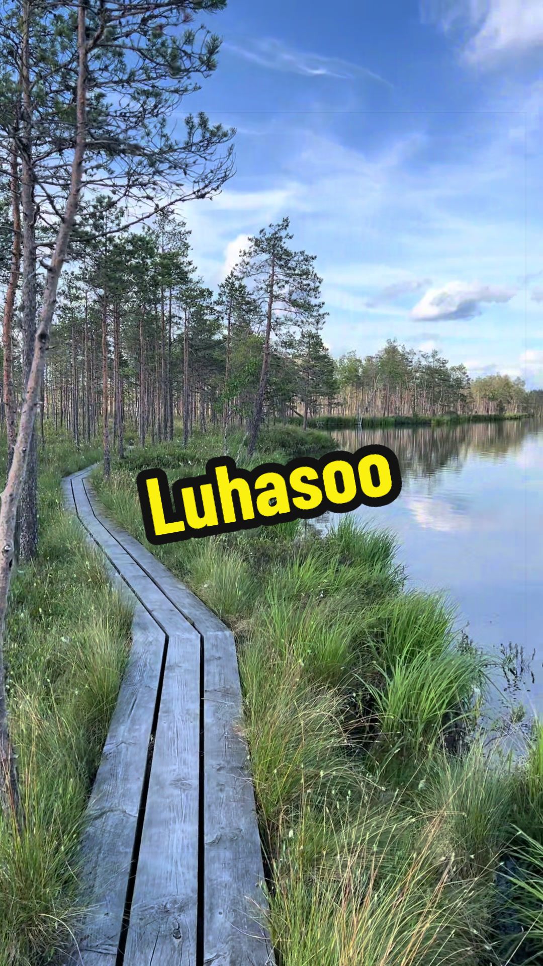 @Блондинка 🇪🇪 Тиктока