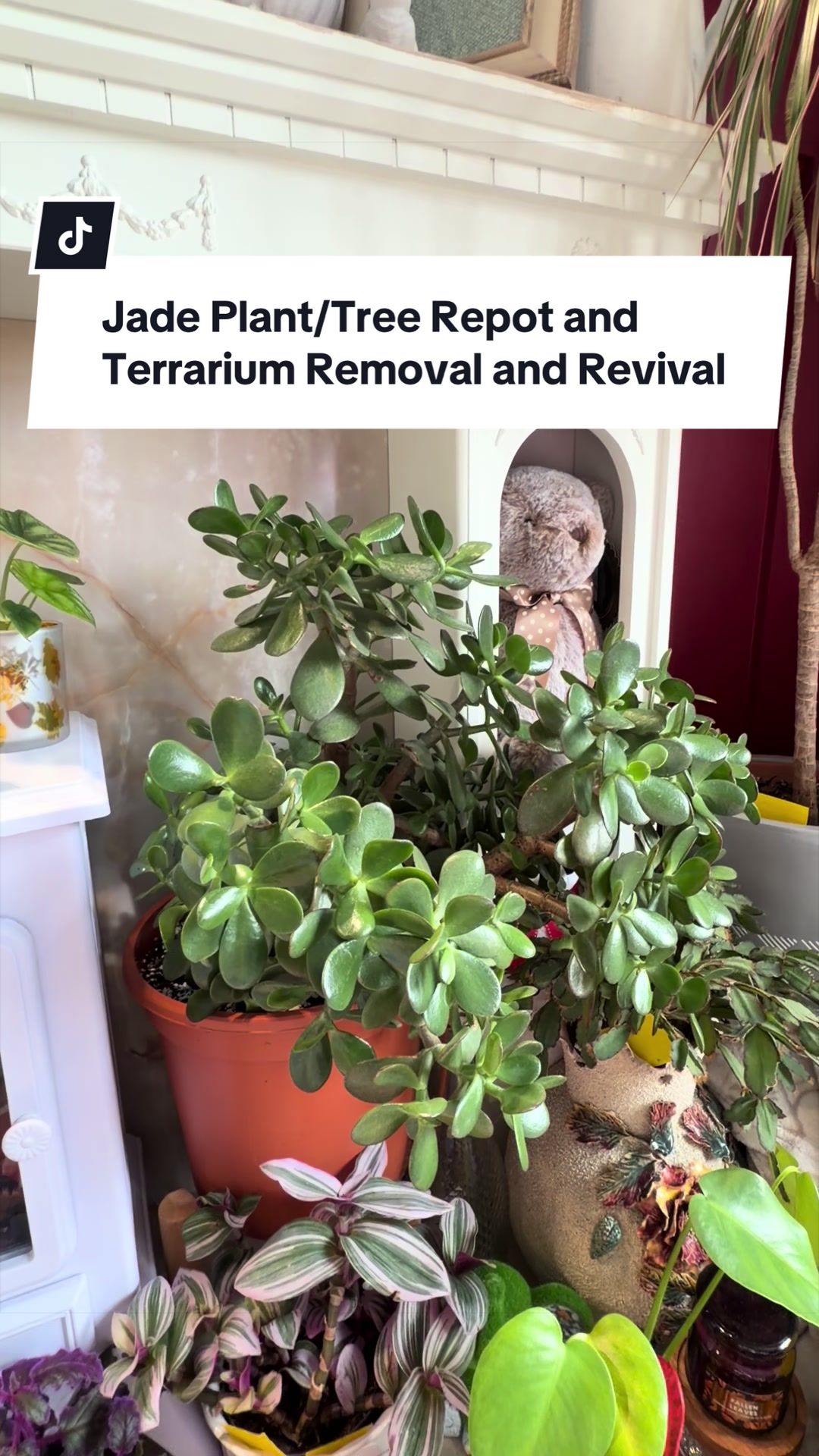 @Sarah Lou, Plants & Pets 🌿