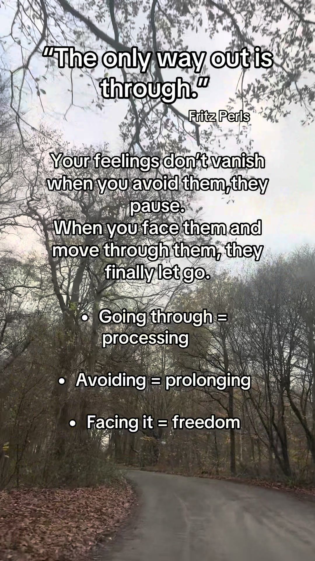 @thecounsellorscafe
