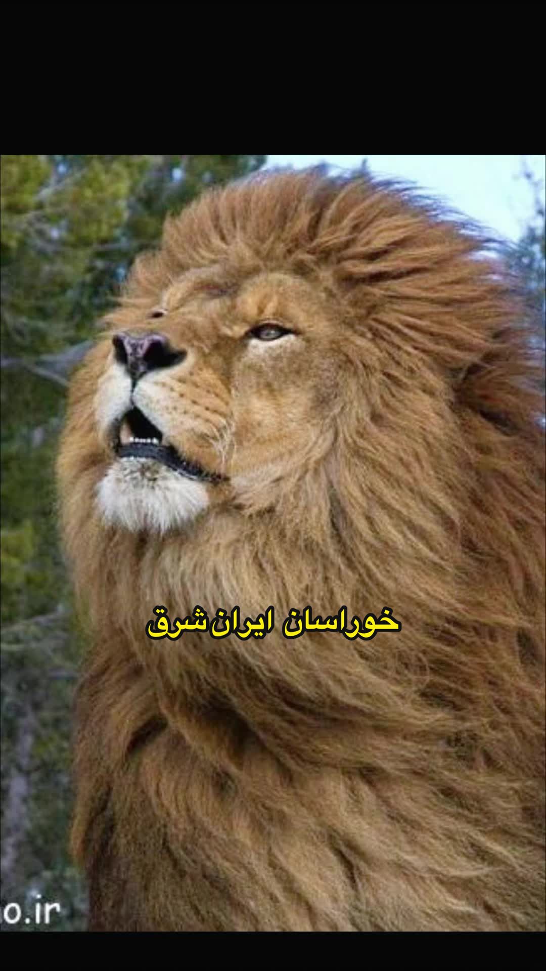 @khurasan.world.ne