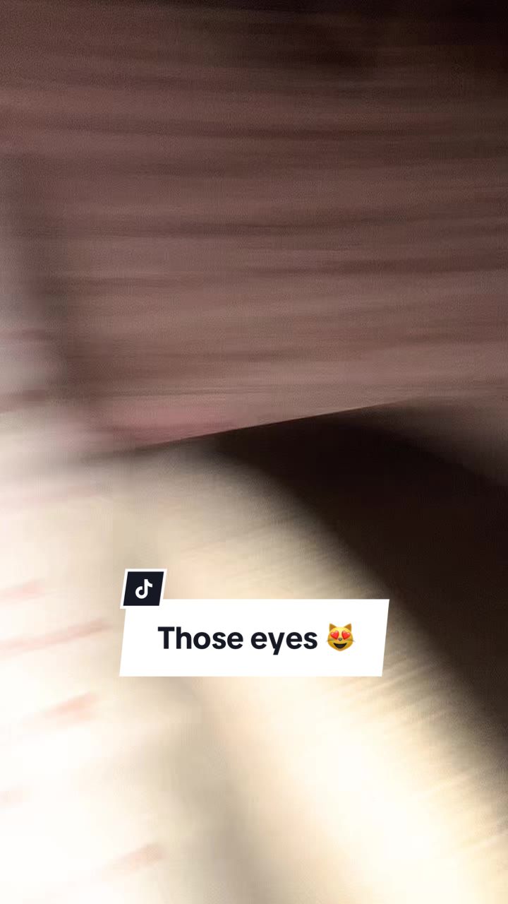 @Vikki