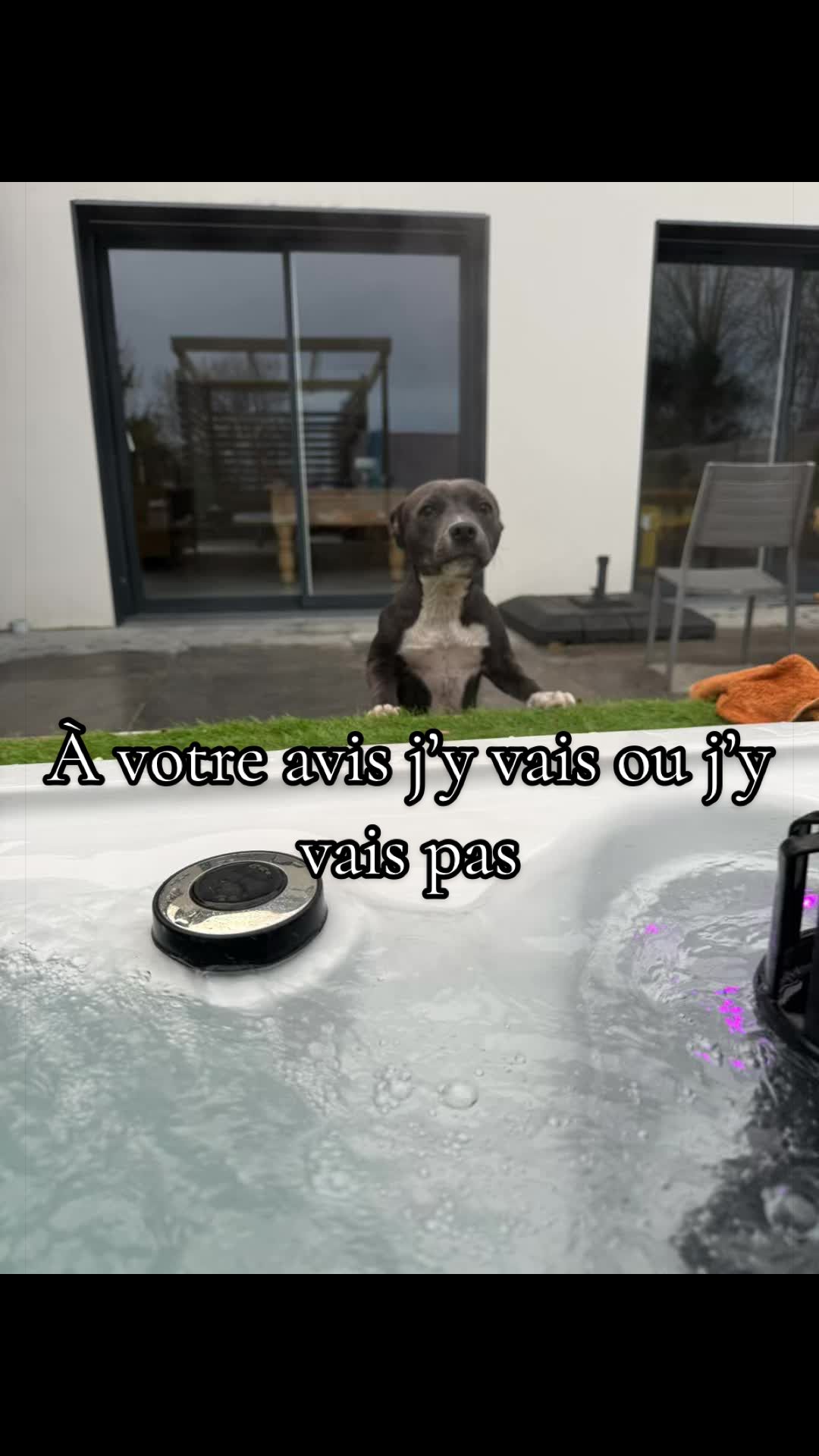 @staffy Alya