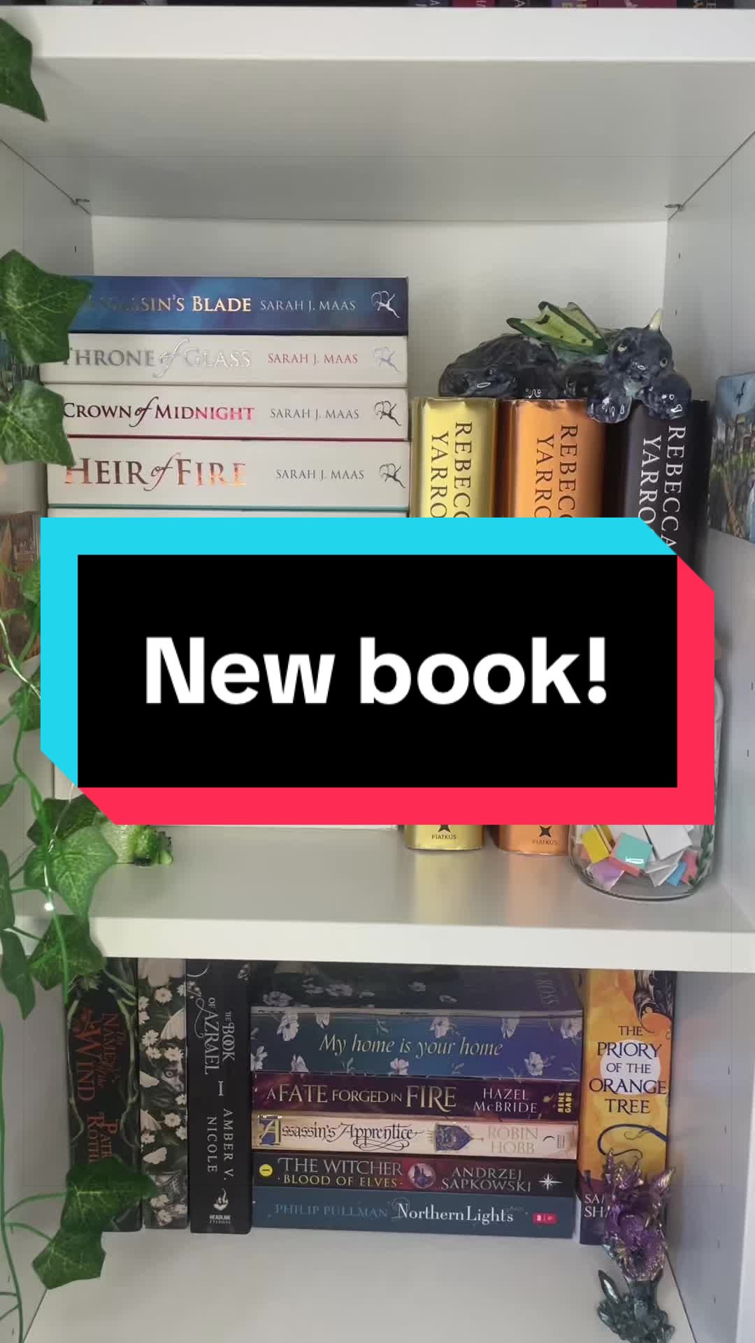 @Anwen’s Library 📚🌿✨