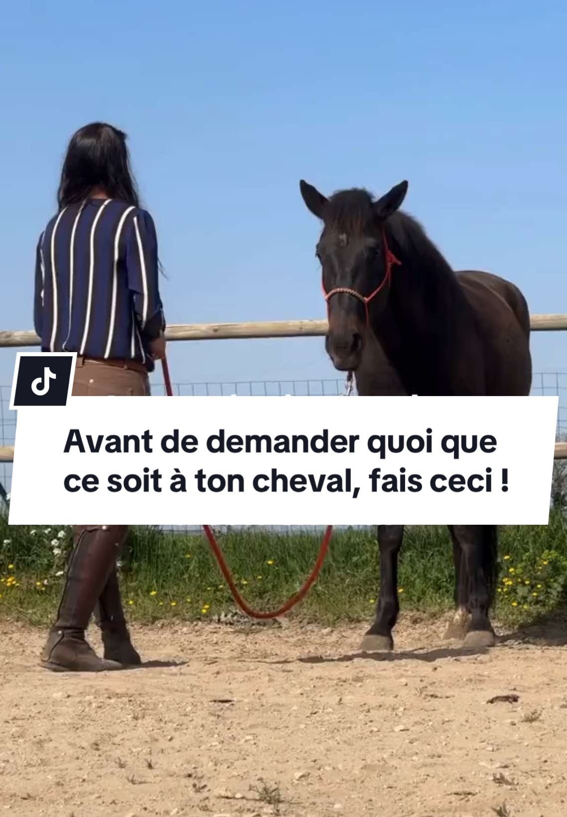 @Horsewoman Trip