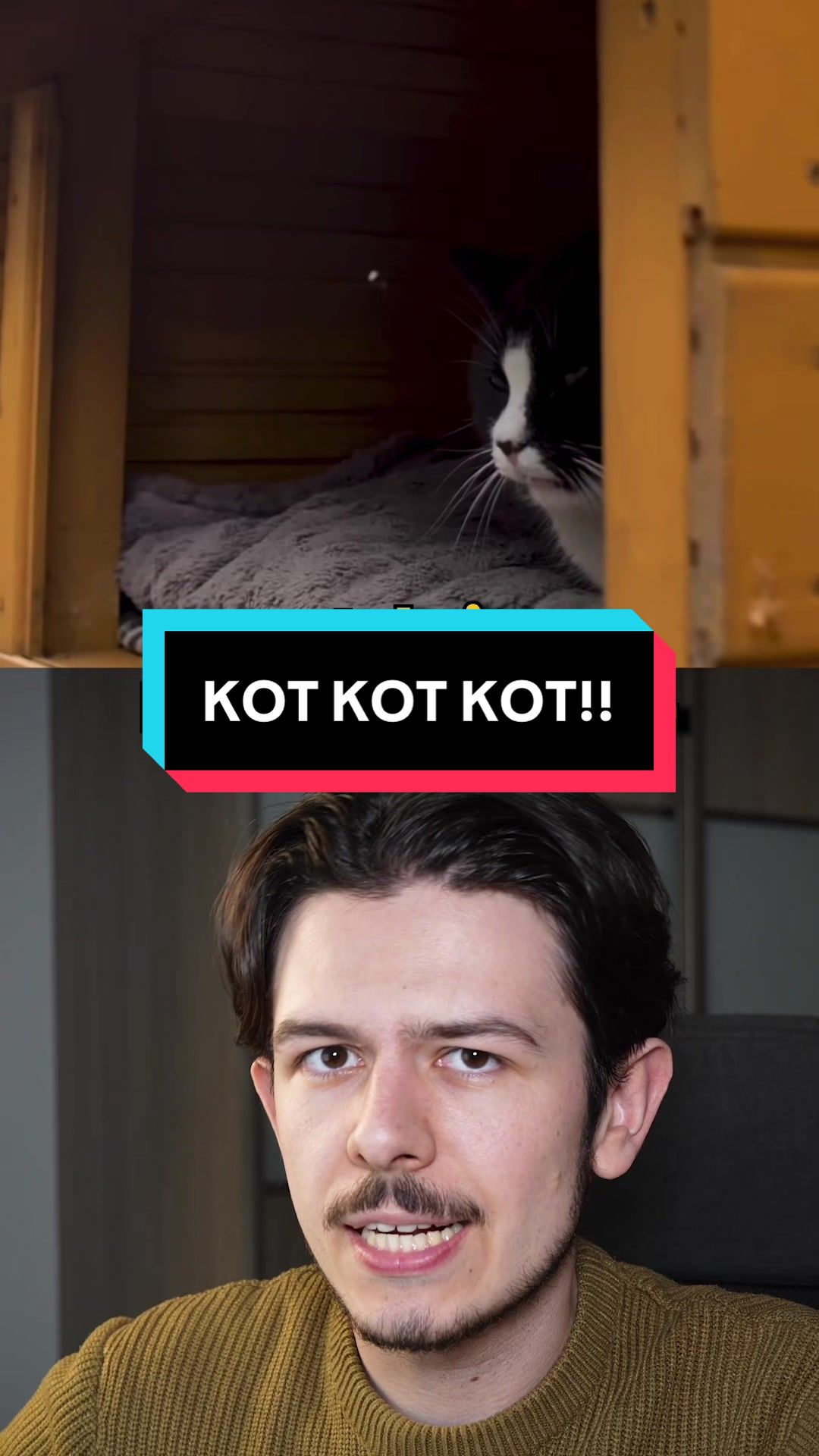 @Dowiedz Się! 🧠