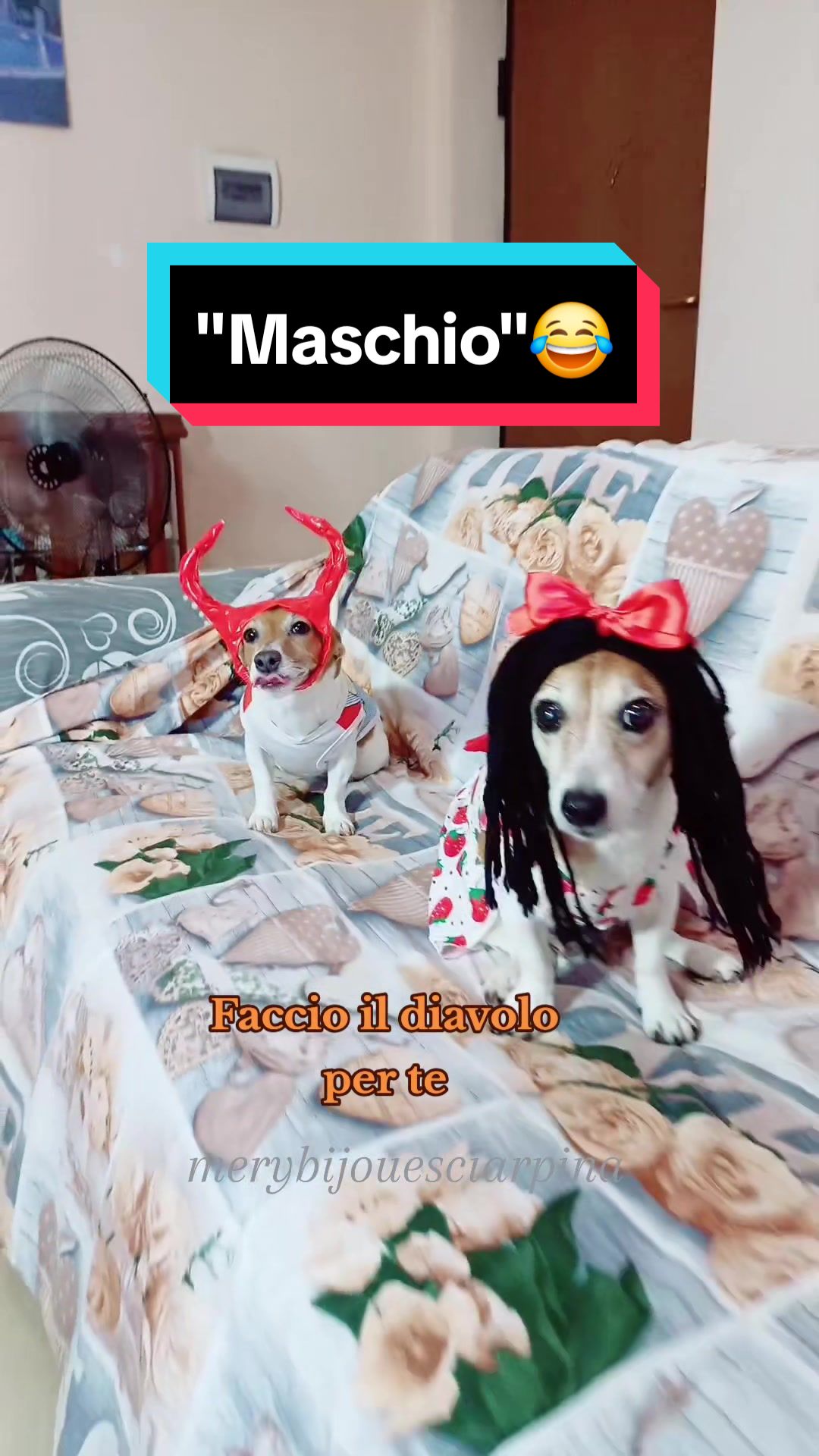 @MeryBS_Official